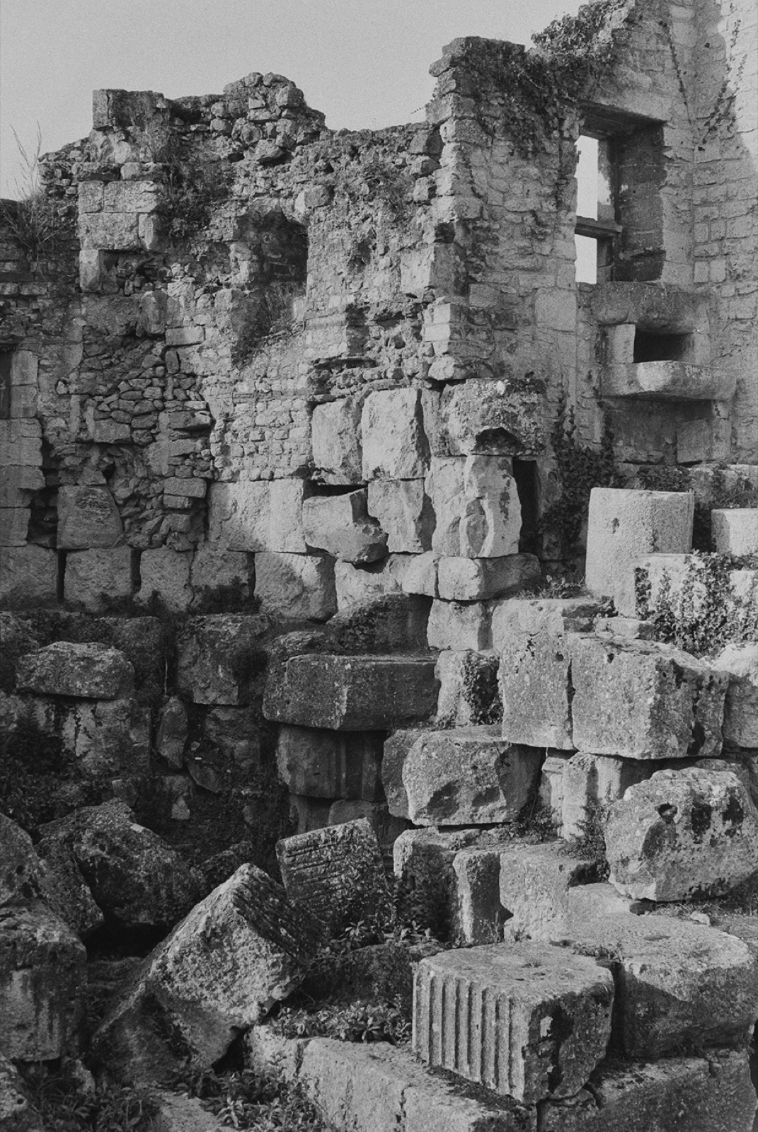 Avec Pi, 35mm black and white photograph, 9 of 33