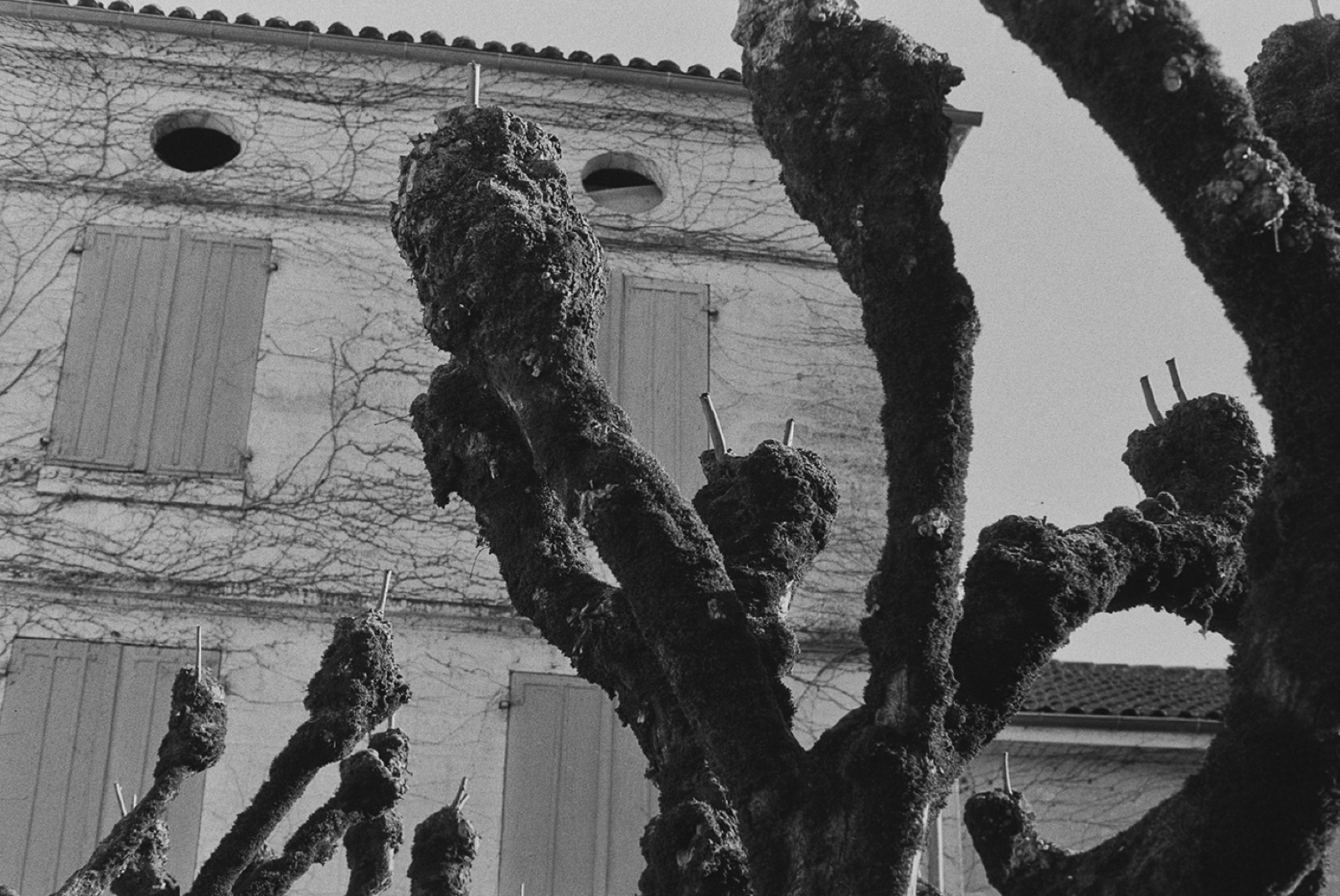 Avec Pi, 35mm black and white photograph, 11 of 33