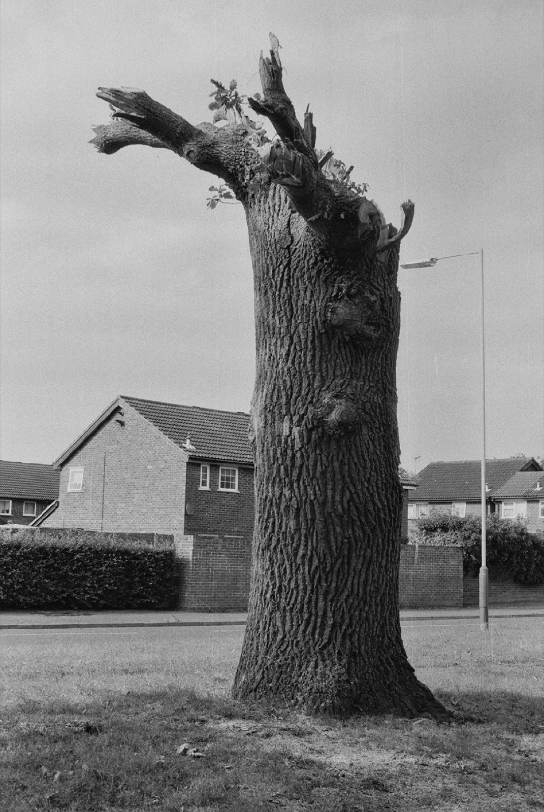 Avec Pi, 35mm black and white photograph, 12 of 33
