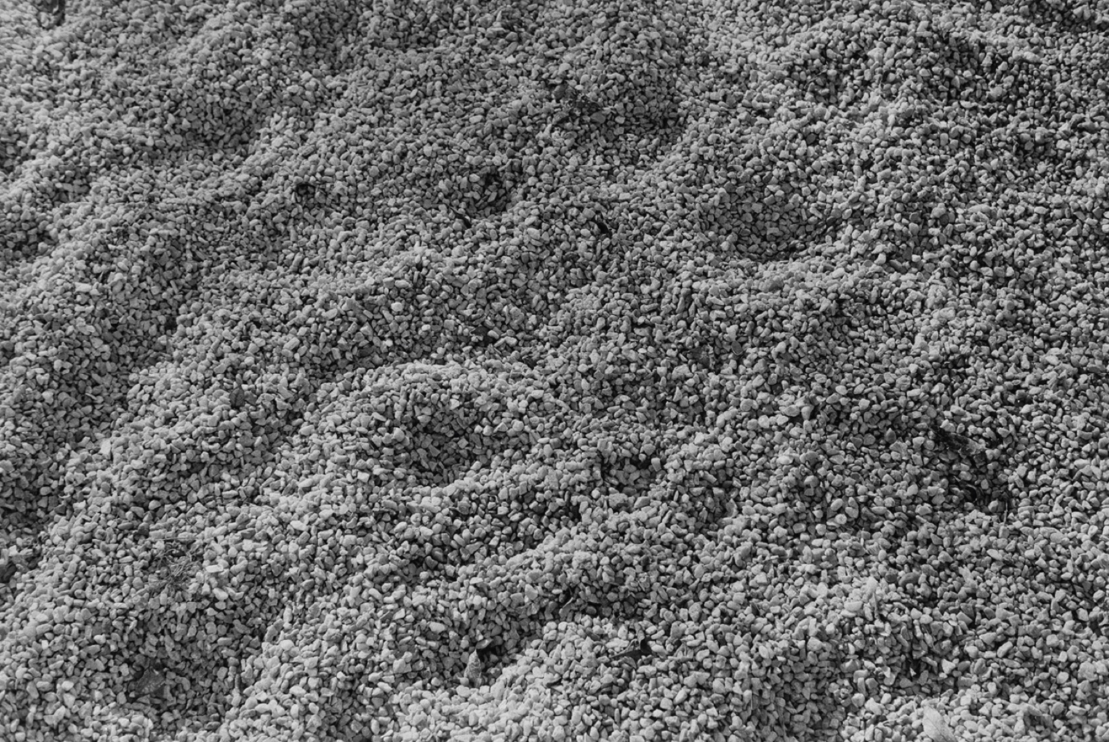 Avec Pi, 35mm black and white photograph, 18 of 33