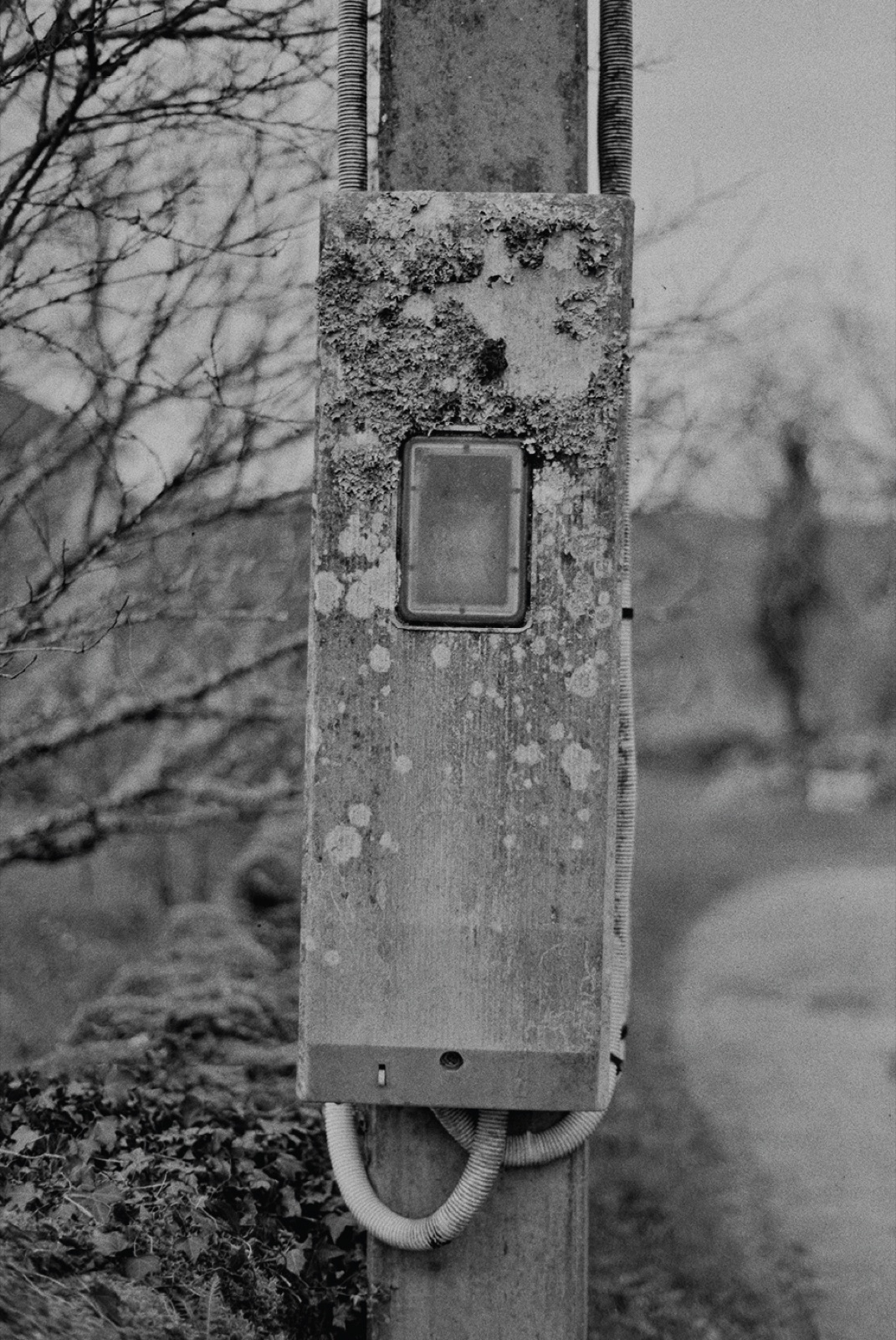 Avec Pi, 35mm black and white photograph, 21 of 33
