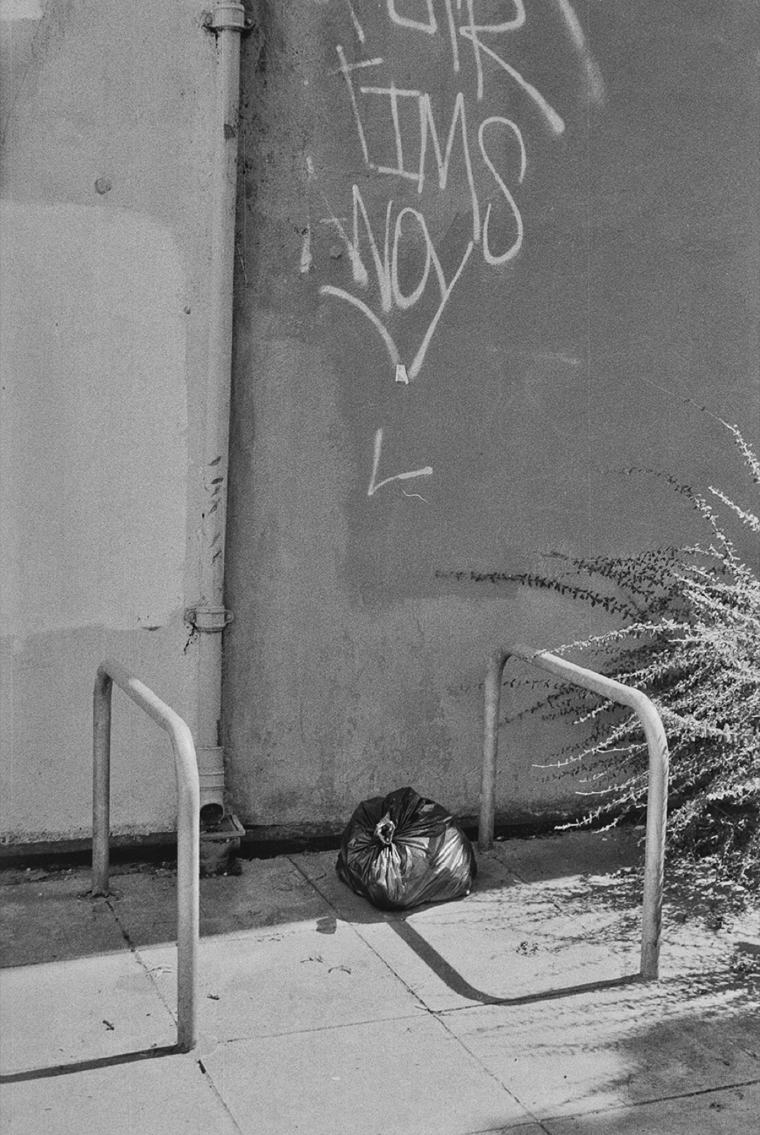 Avec Pi, 35mm black and white photograph, 22 of 33