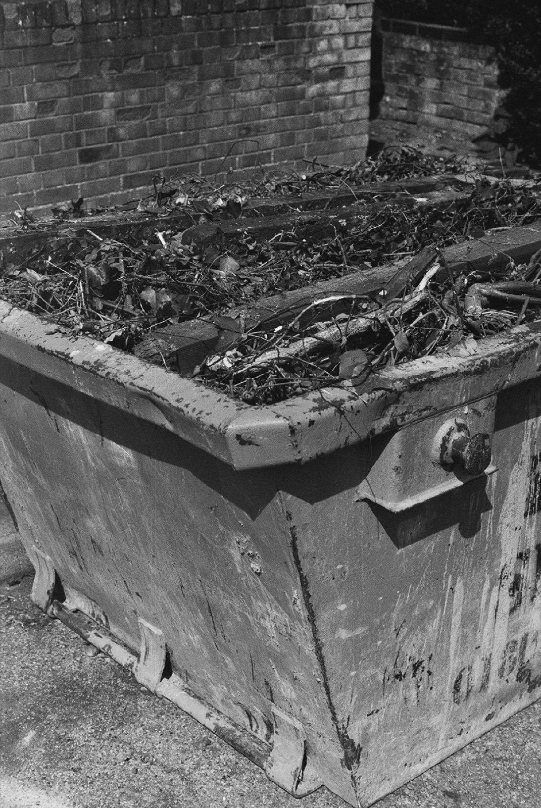 Avec Pi, 35mm black and white photograph, 23 of 33
