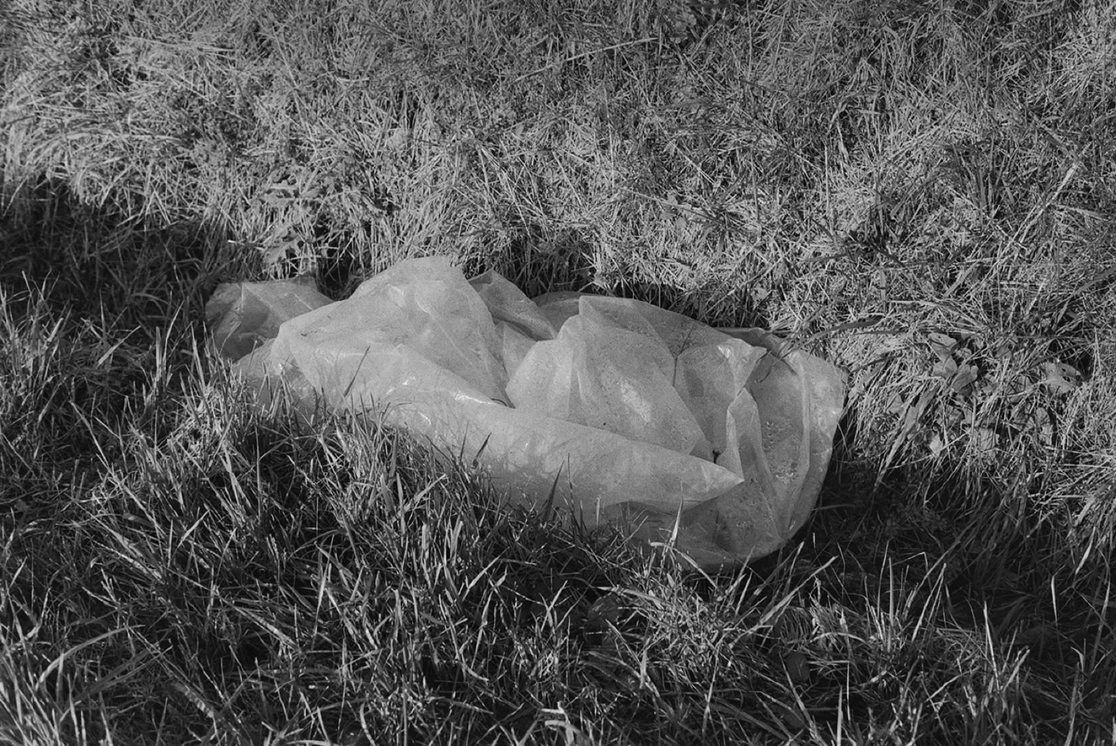 Avec Pi, 35mm black and white photograph, 25 of 33