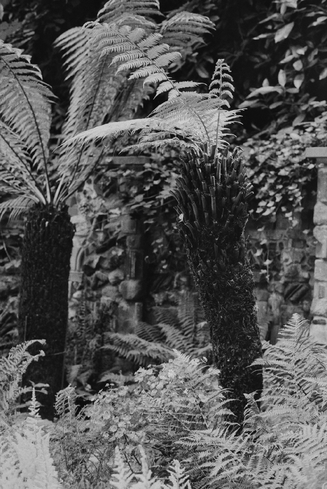 Avec Pi, 35mm black and white photograph, 27 of 33
