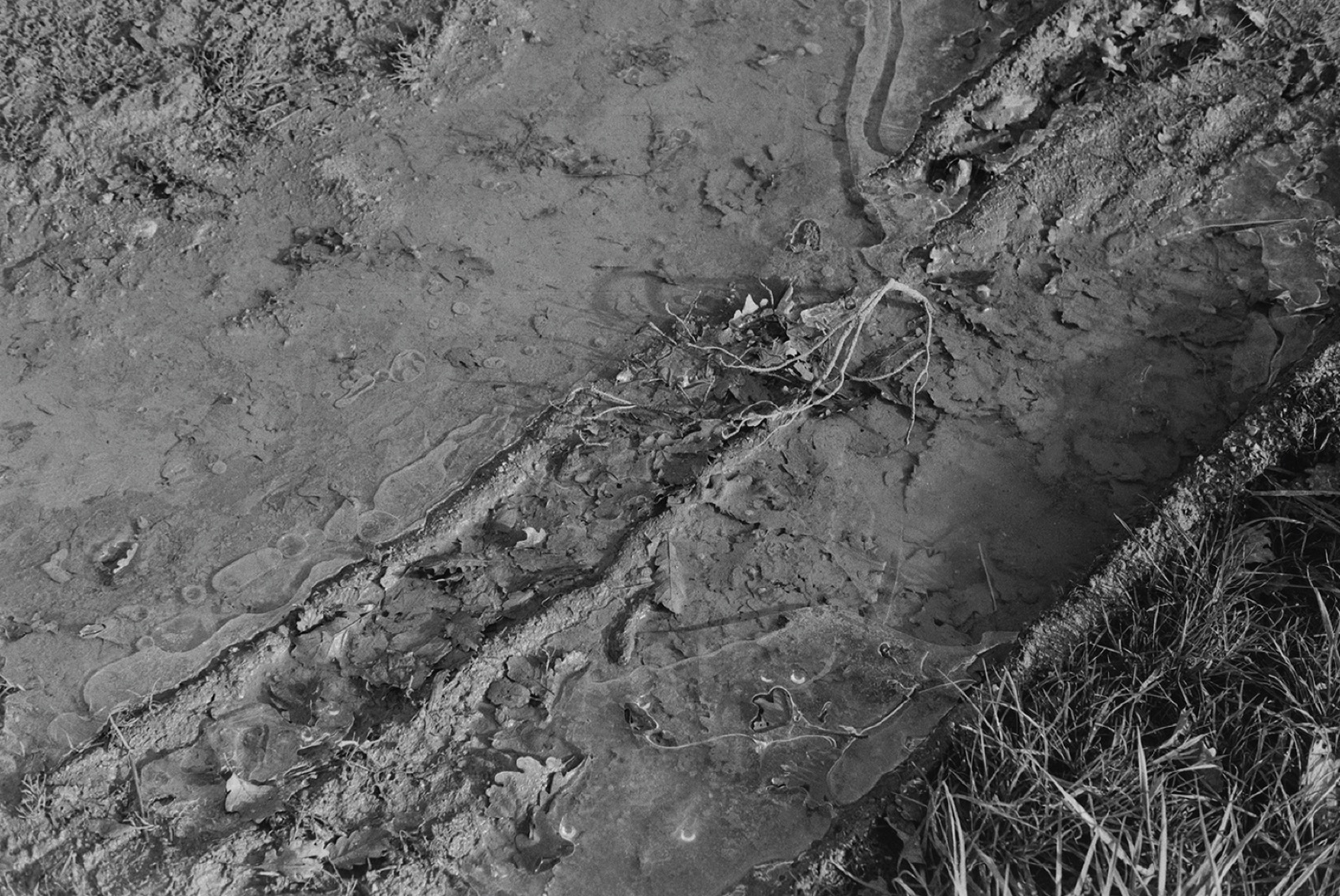 Avec Pi, 35mm black and white photograph, 28 of 33