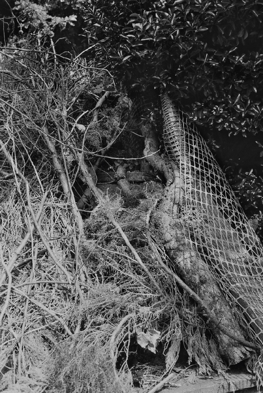 Avec Pi, 35mm black and white photograph, 29 of 33