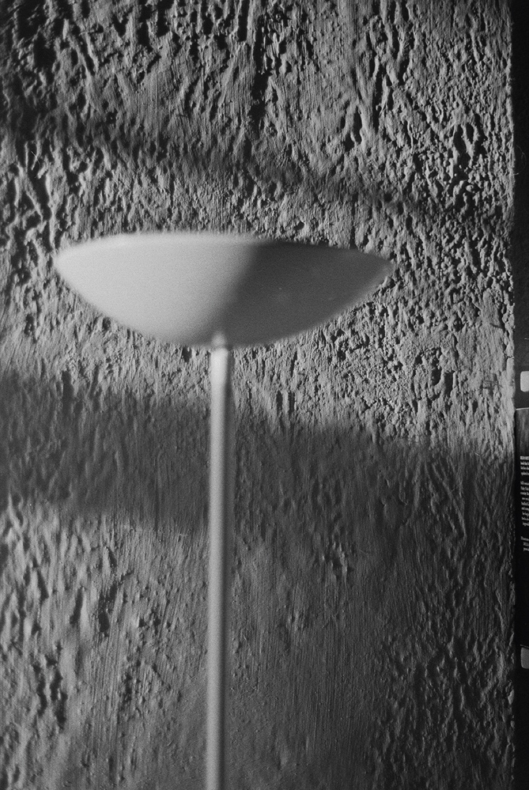 Avec Pi, 35mm black and white photograph, 31 of 33