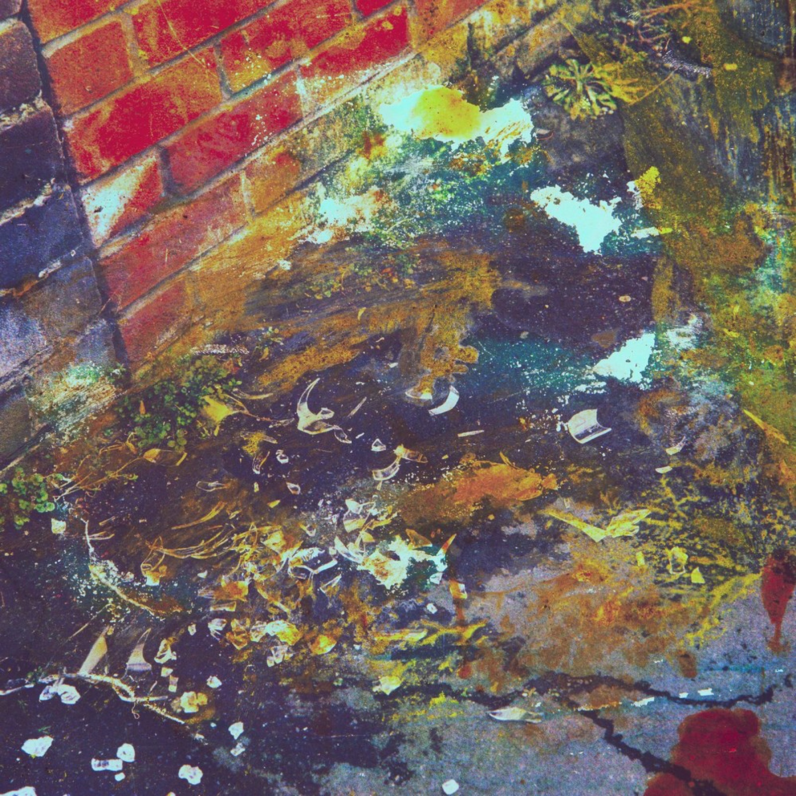 Carousel, physically manipulated medium format photograph, 1 of 12