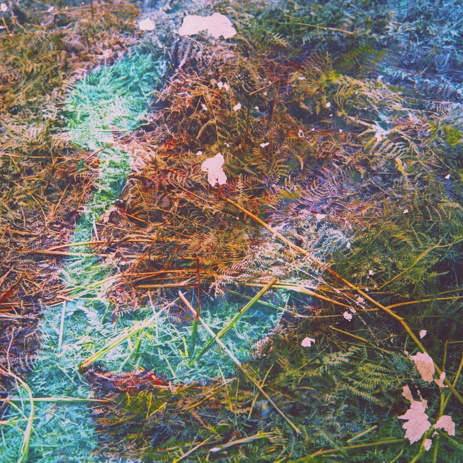 Carousel, physically manipulated medium format photograph, 2 of 12