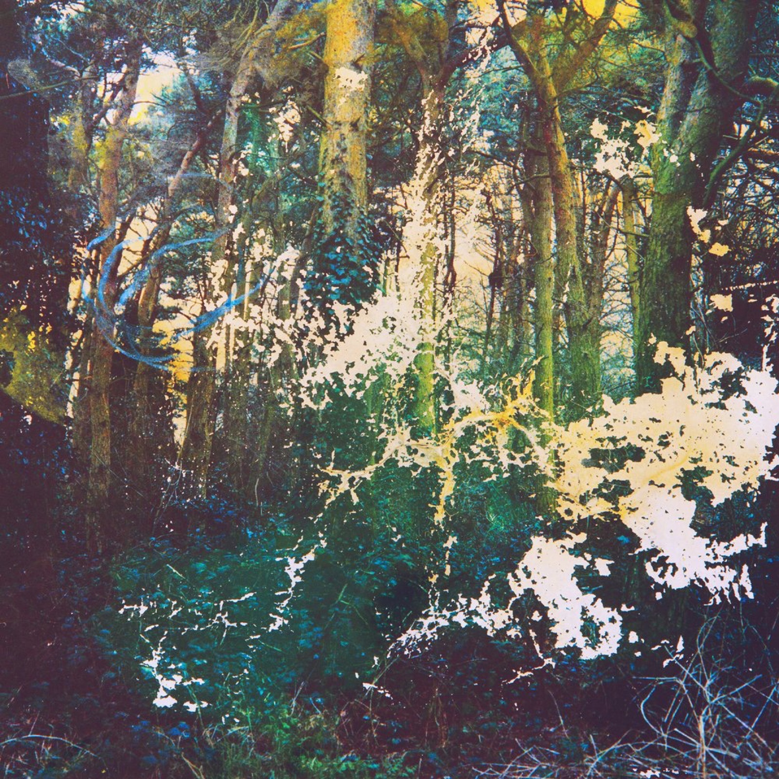 Carousel, physically manipulated medium format photograph, 9 of 12