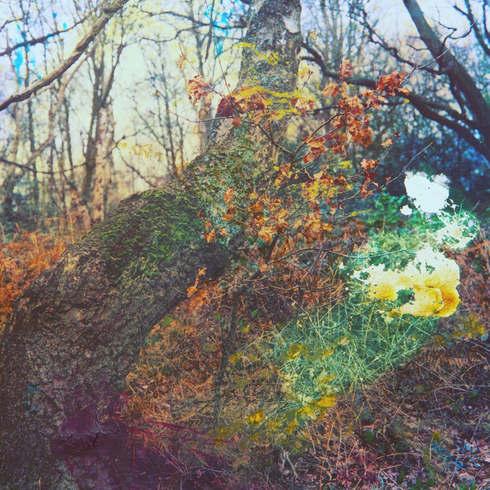 Carousel, physically manipulated medium format photograph, 10 of 12