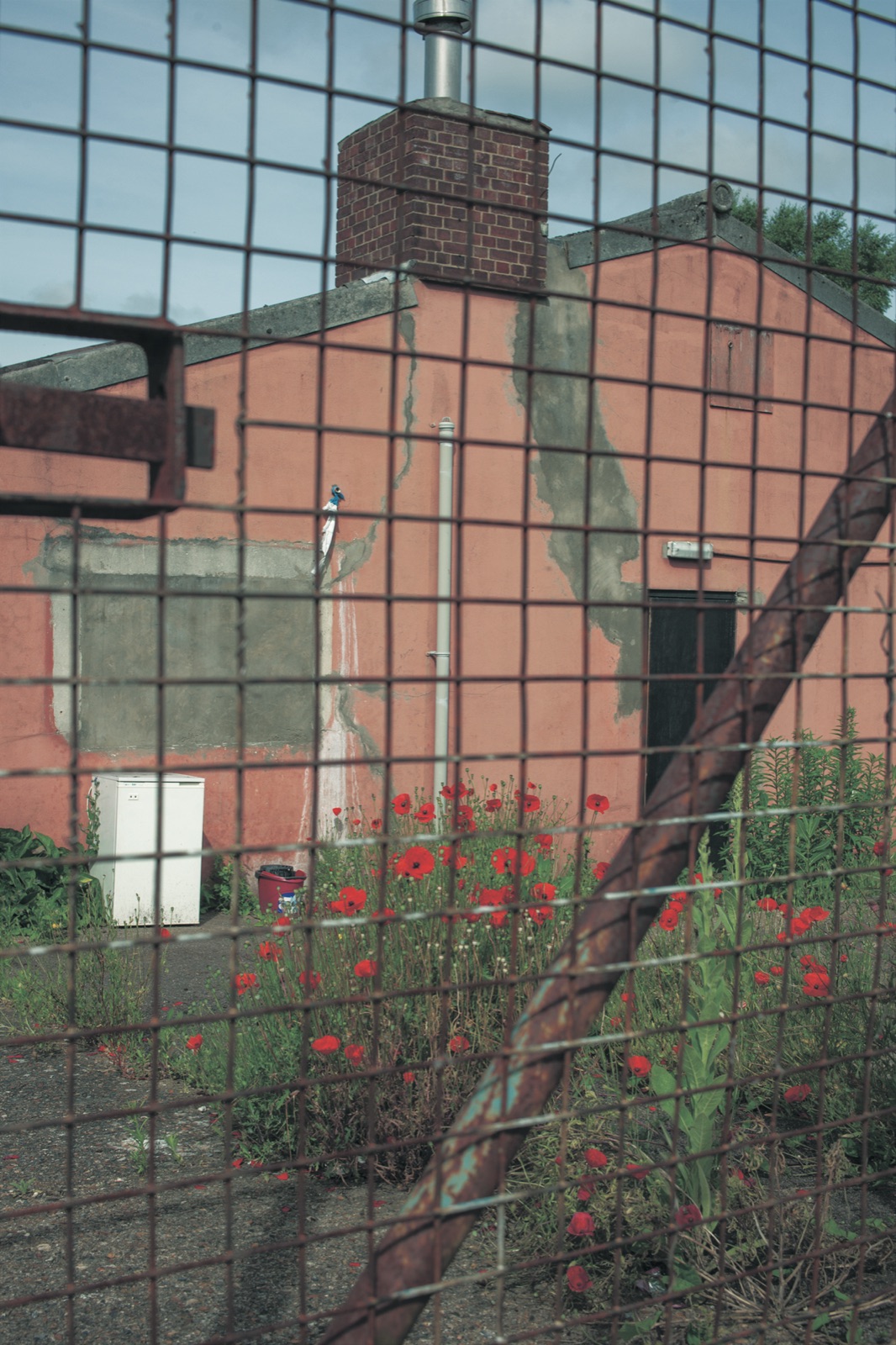 Common Era, photograph exhibited at the Norwich Arts Centre, 2 of 20